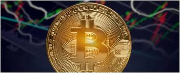 How to trade bitcoin and make profit utilizing altcoins is popular because one only must pay the network charge to switch their foreign money onto the platform. Bitcoin Profit Review Saceps Org