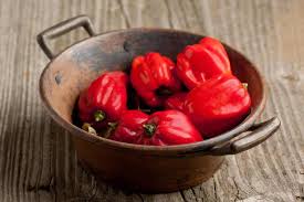 Maybe you would like to learn more about one of these? Caribbean Red Habanero Tropical Thunder Pepperscale