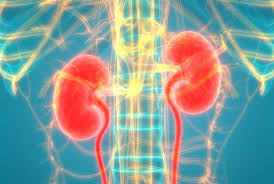 Working Therapeutically With Patients With Kidney Disease