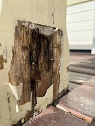 Image result for site:byggahus.se rötskada