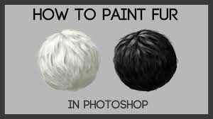 Among music production, drawing, graphic design, digital painting and sculpting, he has spent most of the last 15 years as a cake decorator. Digital Art Tutorial How To Draw Black And White Hair Fur Steemit