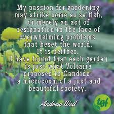 I love spring anywhere, but if i could choose i would always greet it in a garden. Thegardenersfriends Garden Quotes Flower Quotes Quotes