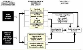 Health Promotion Model Nursing Theory School Survival Health Promotion