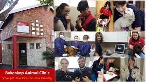 Top-Notch Care for Pets