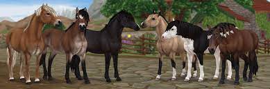 Star Stable We Re Happy To Announce That Sweden S Beloved Gotland Pony Will Be Arriving On February 3rd To Jorvik The Gotland Pony Is A Sturdy Breed Adept At Living Off