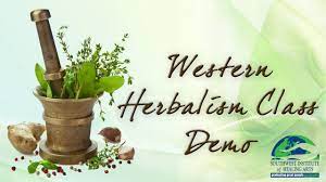 Topsearch.co updates its results daily to help you find what you are looking for. Herbal Medicine Programs Plant Medicine Programs Herbal Medicine