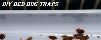 How well do bed bug traps work? Diy Bed Bug Traps Control Bed Bug