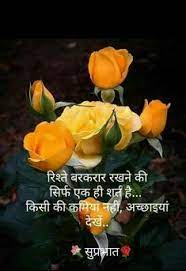 Good morning quotes in hindi font,good morning quotes in hindi with photo. 440 Flowers Ideas Good Morning Images Good Morning Quotes Morning Images