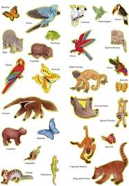 The rainforest and the seasonal forest. Rainforest Animals Rainforest Animals Amazon Rainforest Animals Rainforest Animals For Kids