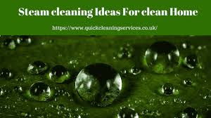 All steam cleaners are not built for the high demands and the diverse needs of the commercial and fortador's line of steamers gives you the flexibility to add a cleaning agent when necessary. Steam Cleaning Ideas For Clean Home Quick Cleaning Services