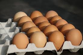 Arkeolog menunjukkan telur ayam berusia 1.000 tahun yang ditemukan selama penggalian di kota. Halaman 3 Gratis Kardus Telur Foto Piqsels
