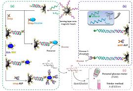 Metal detection principles the 4 ps of metal detection testing metal detector performance. Sensors Free Full Text New Uses For The Personal Glucose Meter Detection Of Nucleic Acid Biomarkers For Prostate Cancer Screening Html
