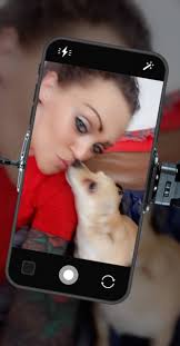 Lost pet found in Sandusky area