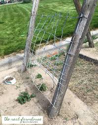 You will need a few materials for this project which include a roll of chicken wire, 3″ deck screws, a small l bracket, etc. Garden Trellis Screening Garden Fence Panels Gates How To Make A Cucumber Trellis