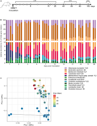 They comfort us and they give us companionship. Frontiers Reproducible Colonization Of Germ Free Mice With The Oligo Mouse Microbiota In Different Animal Facilities Microbiology
