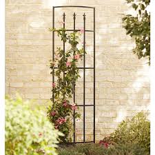 Garden Accents Garden Trellis 21 8 In W X 80 In H Black Finial Garden Trellis Lowes Com In 2020 Garden Trellis Black Garden Garden Accents