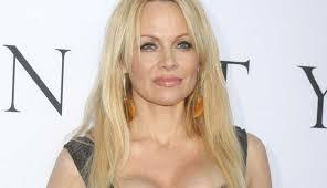 Adam Sink's Instagram, Twitter & Facebook