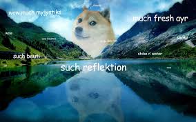 If you would like to post something other than a meme, please put meta at the beginning of your title. Inspirational Doge Background