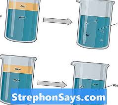 الفرق بين الشوارد القوية والضعيفة الفرق بين 2021