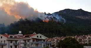 Jun 27, 2021 · yangin söndürüldü muğla´nın marmaris ilçesinde, kızılçam ağaçlarıyla kaplı ormanlık alanda enerji nakil hatlarından yayılan kıvılcım sonucu çıktığı öne sürülen. Marmaris Te Cikan Yanginlarda Kundaklama Suphesi