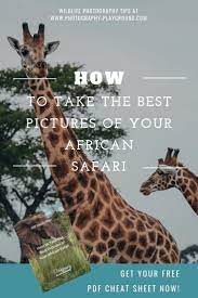 How To Take The Best Pictures Of Your African Safari Wildlife Photography Tips Safari Photography Wildlife Photography Camera