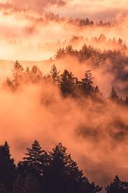 Use them in commercial designs under lifetime, perpetual & worldwide rights. Best Free Nature Images Pexels