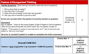 Image result for CAM-ICU