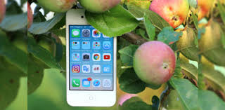 Feb 28, 2021 · looking for fun and challenging trivia questions and answers? Iphone Product Customer Service Trivia Questions Quiz Proprofs Quiz