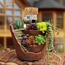 You'll just need to overwinter your cacti somewhere protected. Miniature Garden Ornaments 9 Pcs Cute Mini Resin Succulent Cactus Fairy Garden Accessories Diy Kits For Bonsai Craft Cactus Garden Micro Landscape Dollhouse Indoor Outdoor Home Decor Decorative Garden Stakes Kolenik Patio