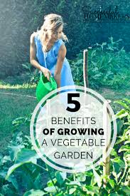 Fill the bottom with roughly 2 inches of gravel and top it with planting soil. 5 Benefits Of Growing A Vegetable Garden