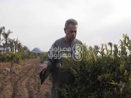 We did not find results for: ØªÙˆÙÙŠÙ‚ Ø¹ÙƒØ§Ø´Ø© ÙÙŠ Ø­ÙˆØ§Ø± Ø§Ù„Ø¹ÙˆØ¯Ø© Ù„Ù„ØªÙ„ÙŠÙØ²ÙŠÙˆÙ† Ø§Ù„Ù†Ø¸Ø§Ù… Ù…Ø´ Ø¨ÙŠØ§ÙƒÙ„ Ø±Ø¬Ø§Ù„ Ù…ØµØ±Ø§ÙˆÙ‰