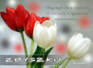 Zbigniew obchodzi imieniny głównie w marcu, kwietniu i lutym. Kartki Elektroniczne Kartka Dla Zbigniewa Kartkolandia Pl