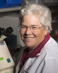 Adrienne C. Scheck, PhD