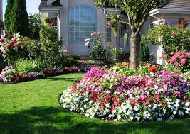 Ideally, good organic fertilizers for flowers will have higher ratios of phosphorous than other fertilizers. The Best Fertilizer For Flower Plants Growth Blooms