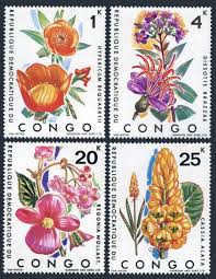 Image result for Dissotis alata