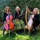 String Culture Trio at The Allies Pub event image