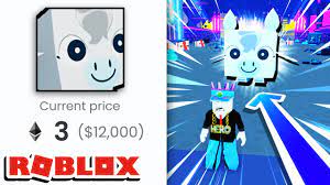 I Bought The Pet Simulator X Nft For 12 000 Roblox Youtube
