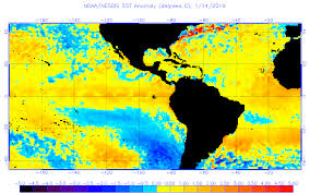 current operational sst anomaly charts ospo