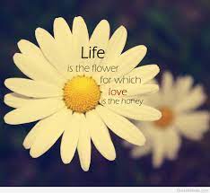 Flower quotes beautiful flower quotes, quotes about flowers & happiness. Spring Blooming Quotes Quotesgram