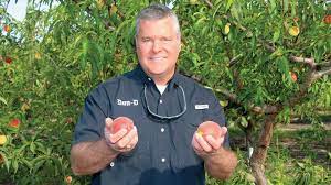 We did not find results for: Florida Peaches Look Ripe For The Picking Growing Produce