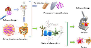 Image result for Cremaspora