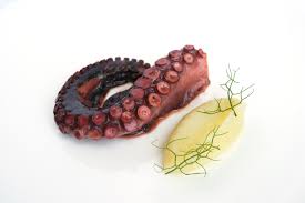 Although some people are intimidated and perhaps a bit squeamish to try to cook octopus, the res. Octopus Recipes Great British Chefs