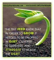 Image result for quotes about the struggle of birth