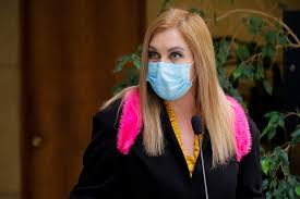 Su carrera periodística la ha ejercido en el área del periodismo de farándula, periodismo de investigación en televisión y de manera independiente. Las Criticas De Boric Hirsch Y Jackson A Pamela Jiles Por Tuit Sobre Pena De Muerte Que Termino Borrando