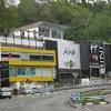 Pohon akasia merupakan pohon hoki 48. 1
