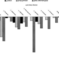 Image result for Cienfuegosia hildebrandtii