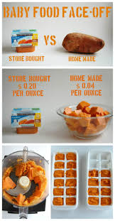 Homemade Baby Food Www Wineandglue Com A Break Down Of The Cost Benefits Motivation To Make Own Bab Baby Food Recipes Making Baby Food Homemade Baby Food
