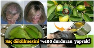 Bu Yapraklar 100 Sac Dokulmesini Durdurur Saglik Sac Sac Dokulmesi