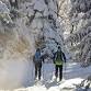 Sunset Snowshoe Tours event in Tahoe Vista, CA