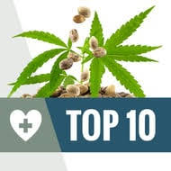 These include feminized, regular, and autoflowering weed seeds. Cannabis Seeds Bank Reviews Top 10 Cannabis Seeds Store